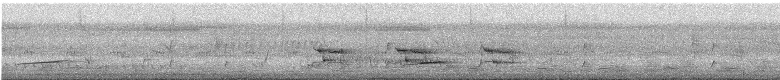 Codorniz de Tasmania - ML646483404