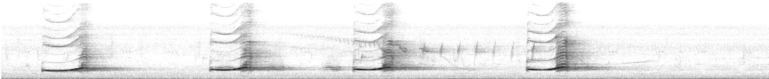 Pacific Koel - ML646483447