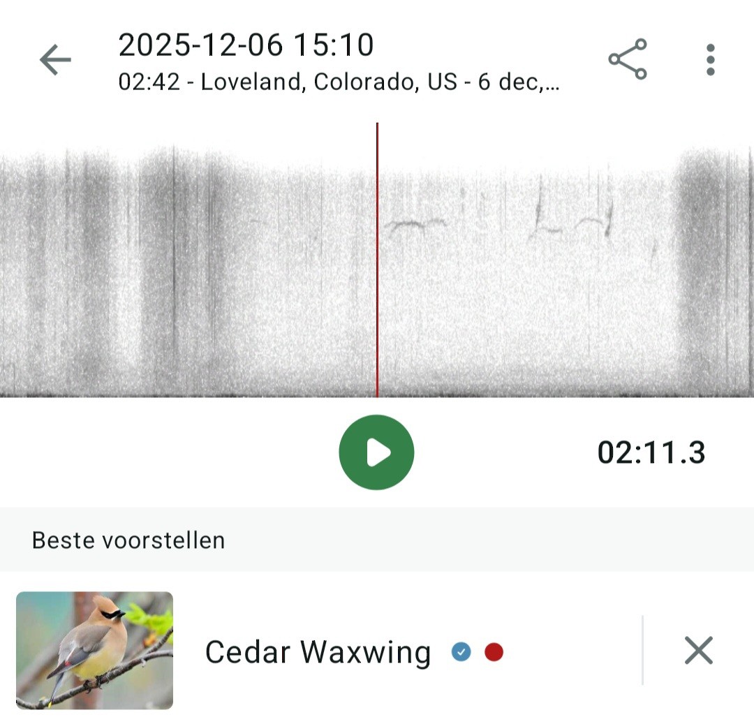 Cedar Waxwing - ML646483885