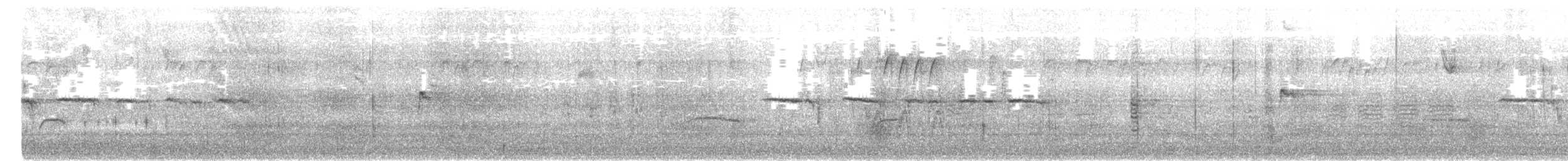 Weißkehlammer - ML646484621