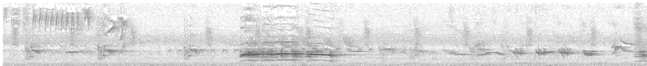 Streifenkuckuck - ML646485183