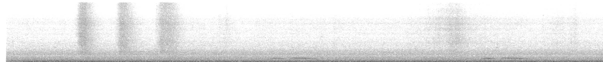 Perlhalstaube (chinensis/tigrina) - ML646485219