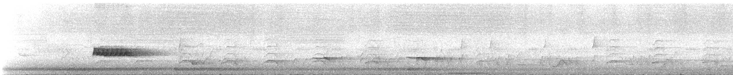 Buschkuckuck - ML646485484