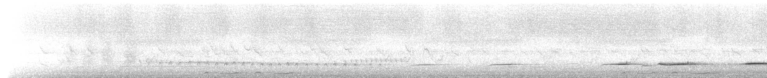 Buschkuckuck - ML646485485