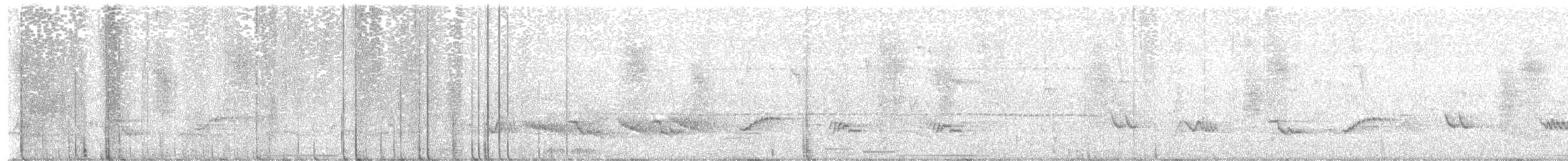 Rotachseltaube - ML646485794