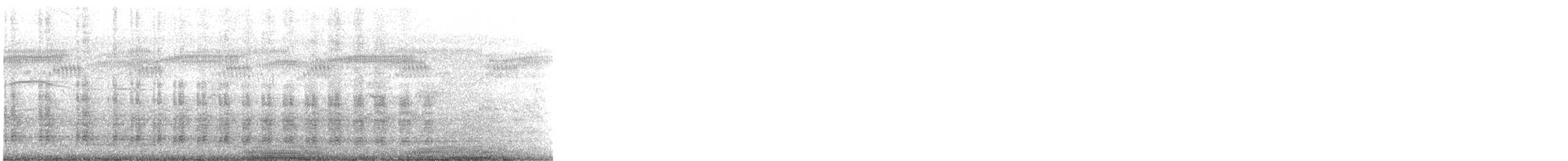 Austral-Schlangenhalsvogel - ML646485851