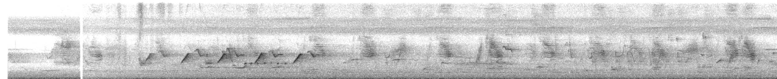 Silbermonarch - ML646485869