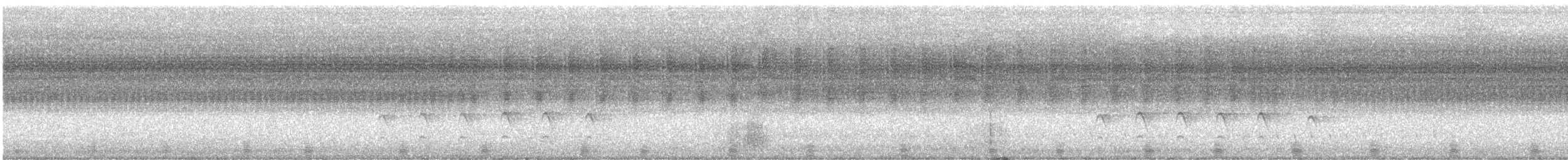 Australbuschhuhn - ML646485986