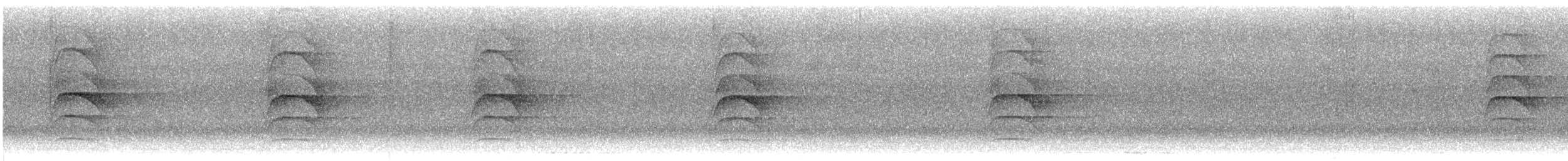 Schwefelmaskentyrann - ML646485991