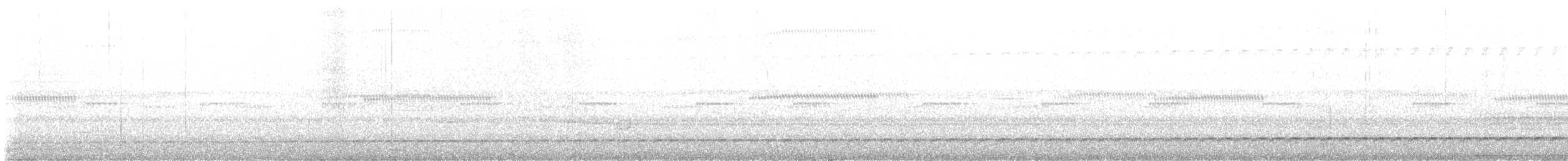 Bindenbrust-Ameisendrossel - ML646486110