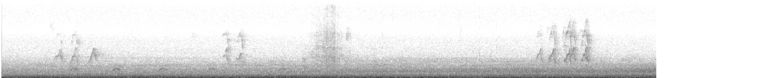 Wanderdrossel - ML646486170