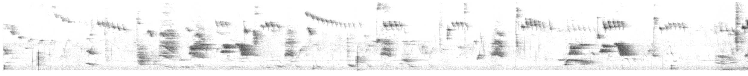 Prachtstaffelschwanz - ML646486193