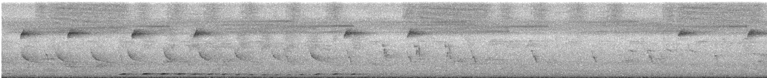 Pheasant Coucal - ML646486298