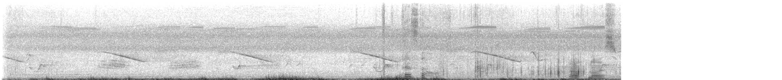 Horsfield's Bronze-Cuckoo - ML646486334