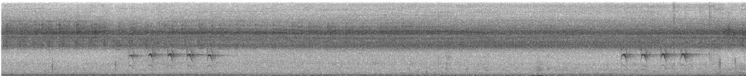 Kutsal Yalıçapkını - ML646486514