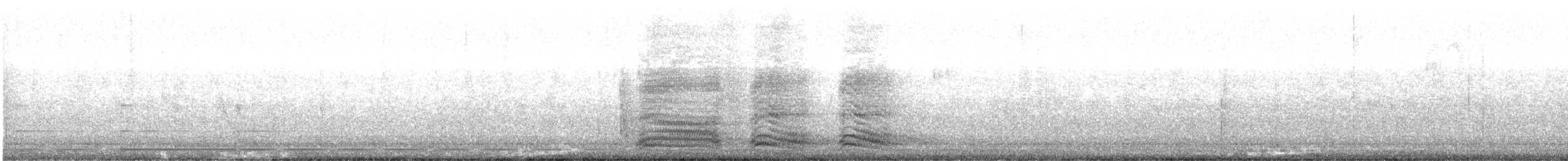 Corneille d'Amérique - ML646486986