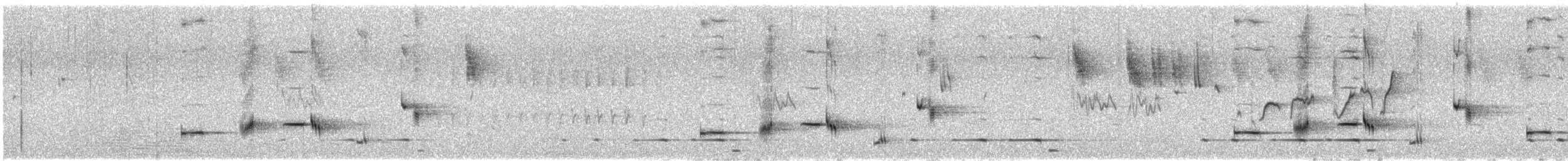 Carillonneur huppé - ML646487190