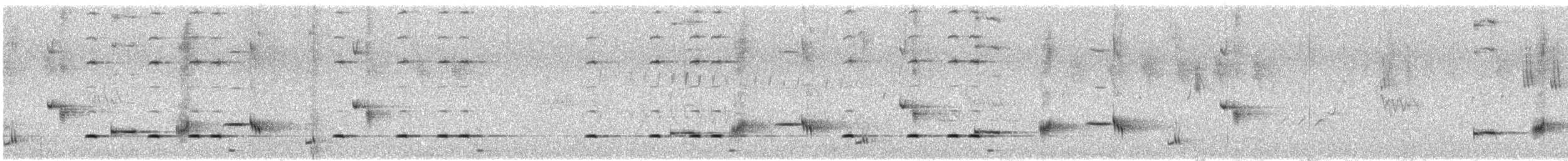 Psophode à menton noir (nigrogularis/oberon) - ML646487197