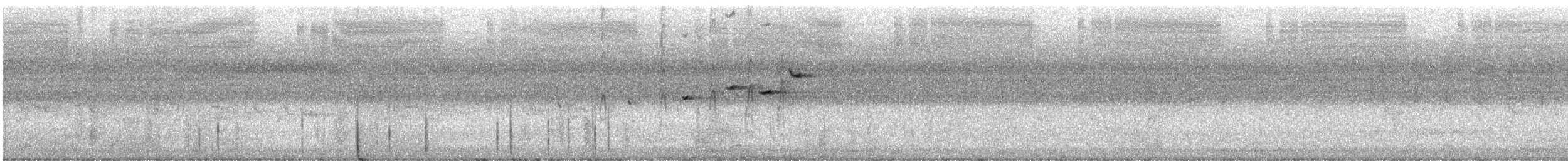 Rhipidure gris - ML646487440