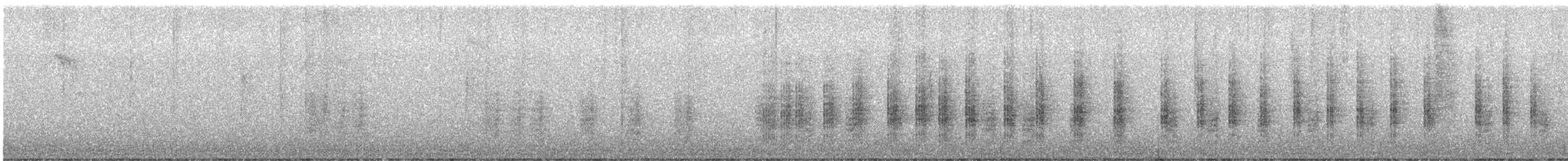 Troglodyte des forêts - ML646487515