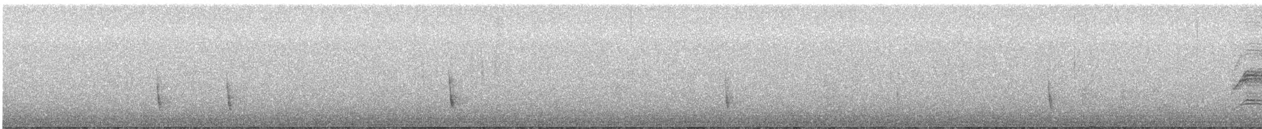 Zorzalito Colirrufo - ML646487536