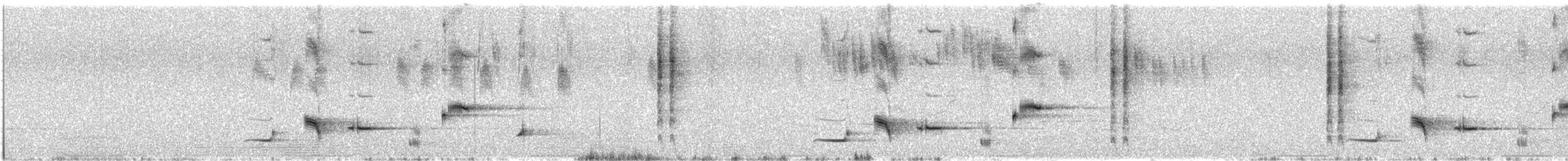 Psophode à menton noir (nigrogularis/oberon) - ML646487792