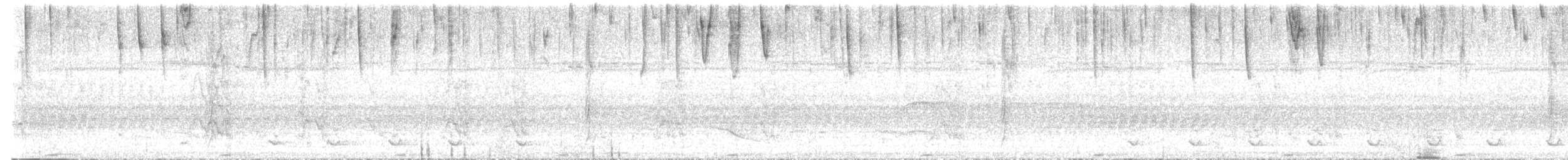 Tyran audacieux - ML646487794