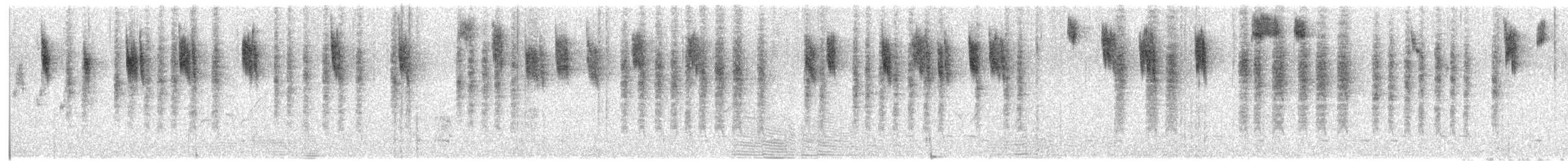 Mérion splendide - ML646487981