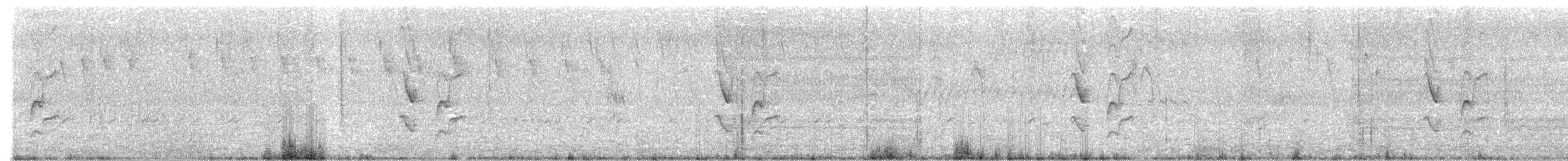 Synallaxe albane - ML646488421