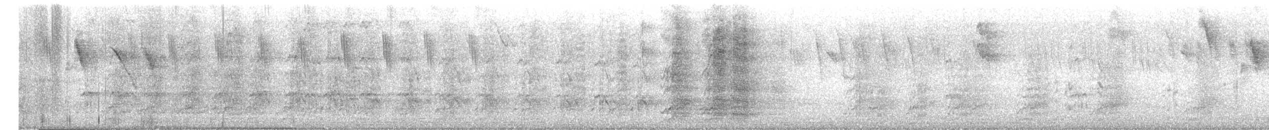 Amazone aourou - ML646488528