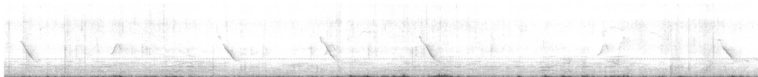 Jungle Bush-Quail - ML646488529