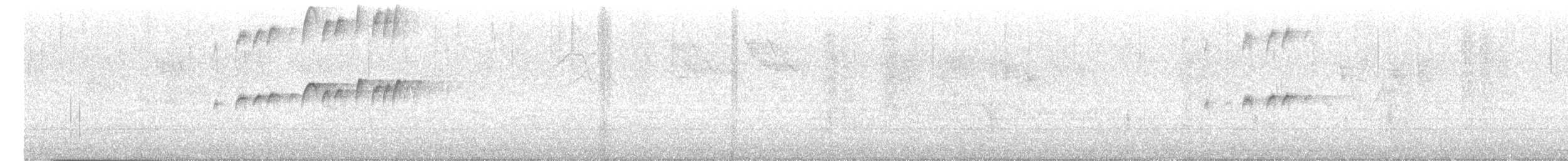 Tropical Kingbird - ML646489008