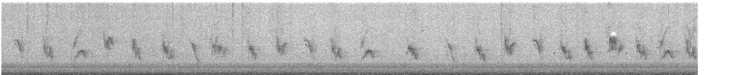 House Sparrow - ML646489382