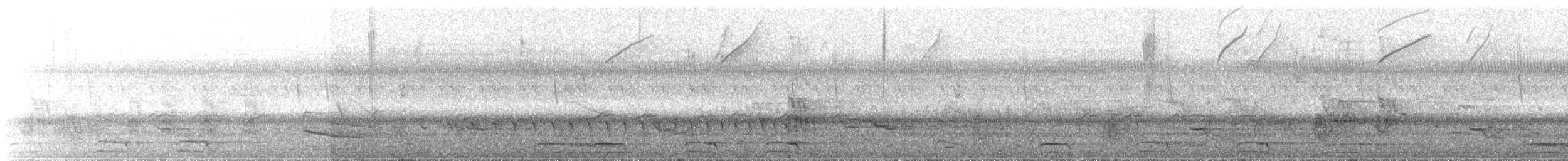 Lined Forest-Falcon - ML646489387