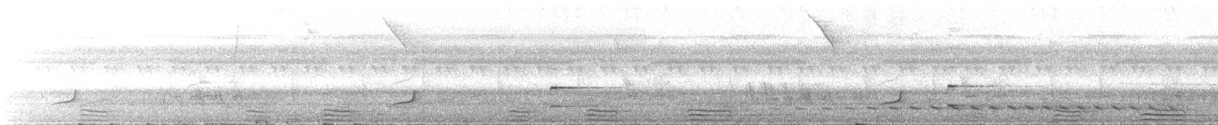 Lined Forest-Falcon - ML646489388