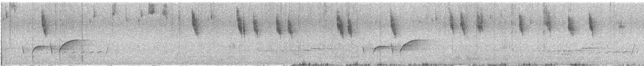 Southern Scrub-Robin - ML646489461