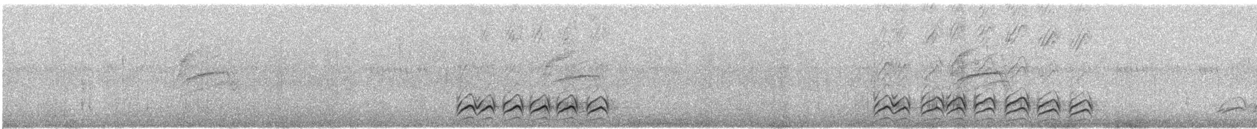 Pinyon Jay - ML646489528