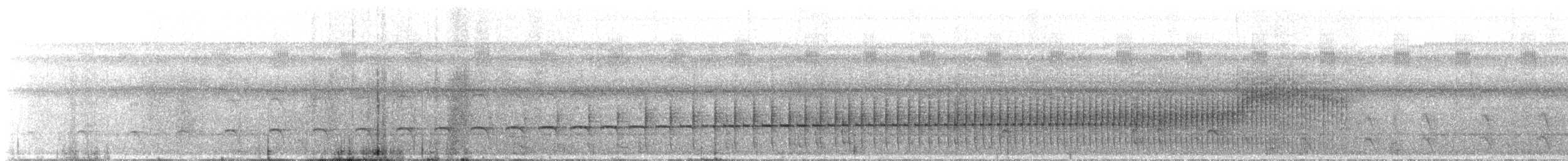 Yellow-billed Jacamar - ML646489558