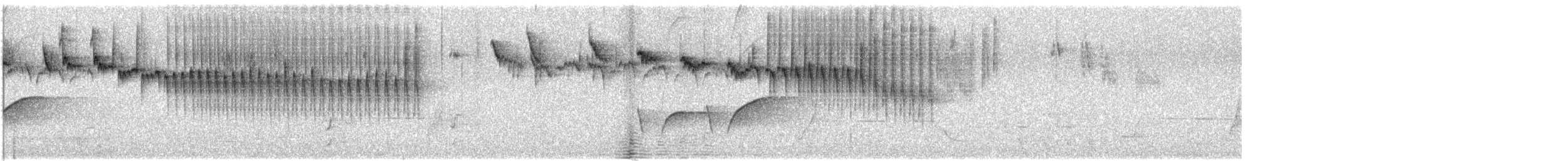 Blue-breasted Fairywren - ML646489628