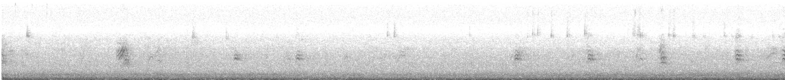 House Finch - ML646489723