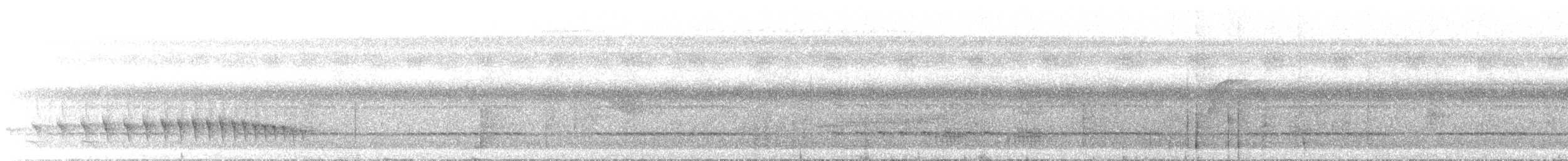 Moustached Antwren - ML646489824