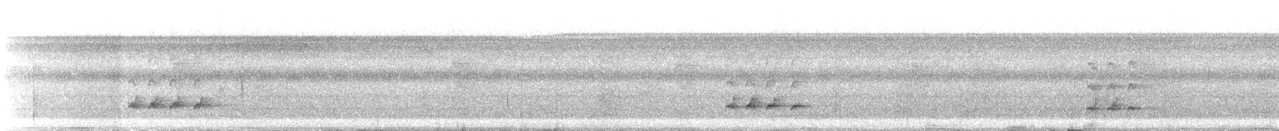 Dwarf Tyrant-Manakin - ML646489828