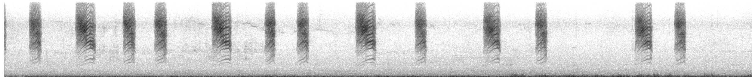 Southern House Wren - ML646490172