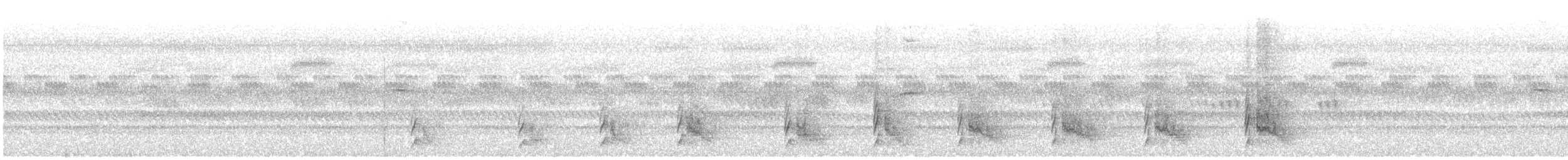 Spotted Owlet - ML646490522