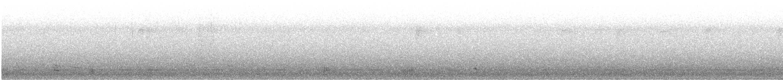 Малая морская чернеть - ML646490641