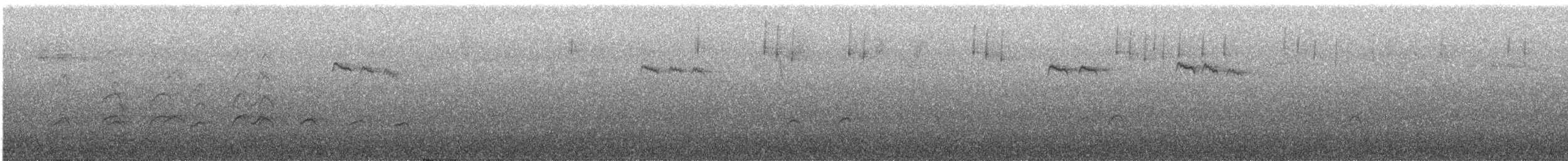 Синиця довгохвоста [група europaeus] - ML646490859