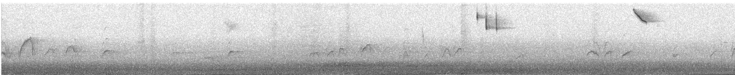 Meadow Bunting (Black-eared) - ML646491300