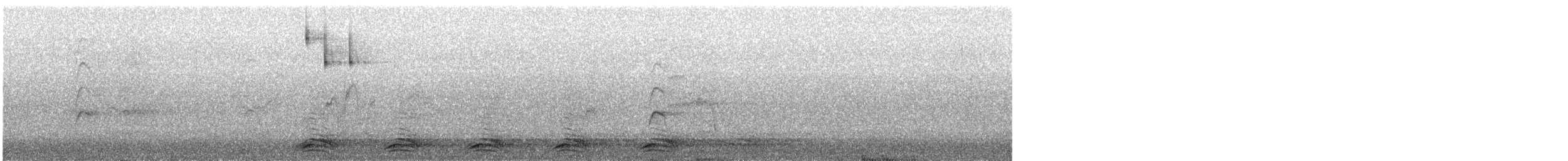 Cuervo Picudo (grupo macrorhynchos) - ML646491410