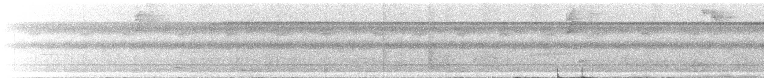 Picoguadaña del Amazonas - ML646491529