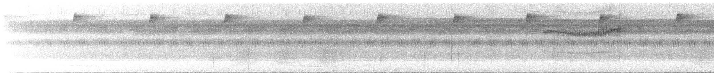 Picoplano Coronado - ML646491544